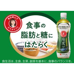 コカ・コーラ 綾鷹 特選茶 500ml ペット...の詳細画像2