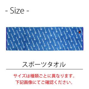 Champion チャンピオン スポーツタオル...の詳細画像1