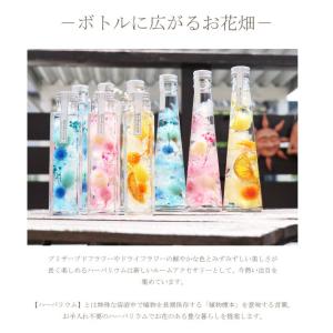メッセージ刻印 ギフト 魅惑のプリザーブド ハ...の詳細画像1