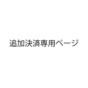 追加決済専用ページ