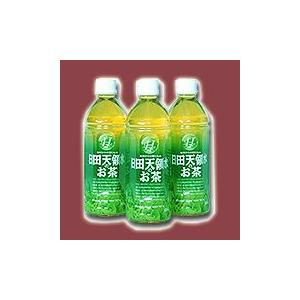 日田天領水 お茶ペットボトル500ml×24本 (他商品との 同梱不可)