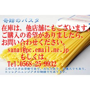 setaro(セタロ) 500g スパゲティ ...の詳細画像1