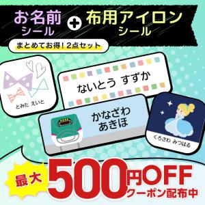 お名前シール 防水＋アイロン 2点セット 布用 耐水耐熱 小学校 服 タグ 幼稚園 保育園 箸 衣類 食洗機 小さい 文房具