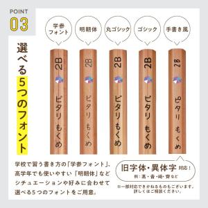 名入れ鉛筆 ピタリ モクメ オリジナルデザイン...の詳細画像3