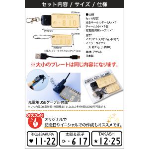 光る ナンバープレート キーホルダー LED ...の詳細画像4