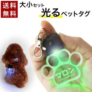 光る お散歩ライト LED ペットタグ ペット 札 ネームタグ 犬 夜 散歩 ライト 交通安全 事故防止 ネームプレート 名札 迷子札 名入れ キーホルダー 肉球