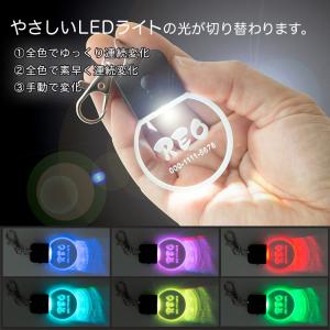 光る お散歩ライト LED ペットタグ ペット...の詳細画像3