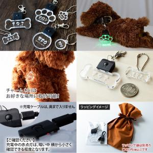 光る お散歩ライト LED ペットタグ ペット...の詳細画像5