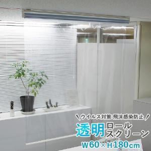 タチカワブラインド 透明シート 透明ロールスクリーン 小窓 幅30