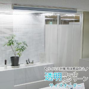 タチカワブラインド 透明シート 透明ロールスクリーン 規格品 幅