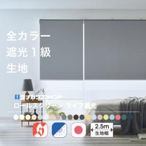ニチベイ（Nichibei） ロールスクリーン ラフィー ウォッシャブル仕様