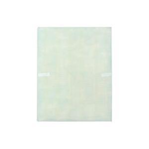 シャープ 空気清浄機用 集じんフィルター（制菌HEPAフィルター） FZ-S63HF