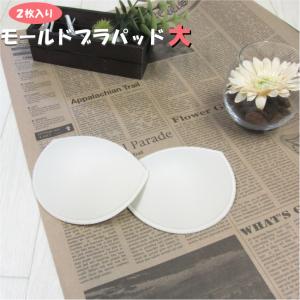 ブラパッド のみ 1組(2枚入) 大きいサイズ ...の商品画像
