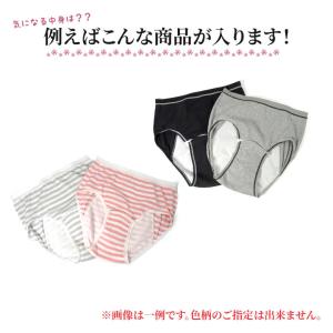 メール便無料 前開き 産褥ショーツ 2枚セット...の詳細画像4
