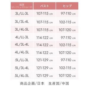 出産入院準備4点セット 産褥ショーツ 2枚 ハ...の詳細画像5