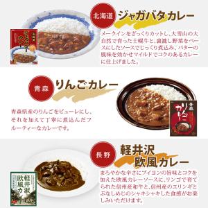 ご当地カレー 詰め合わせ 11種セット レトル...の詳細画像2