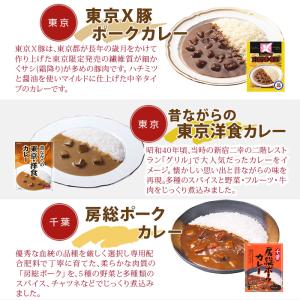 ご当地カレー 詰め合わせ 11種セット レトル...の詳細画像3