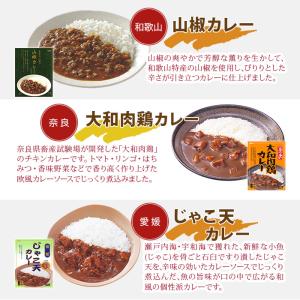 ご当地カレー 詰め合わせ 11種セット レトル...の詳細画像4