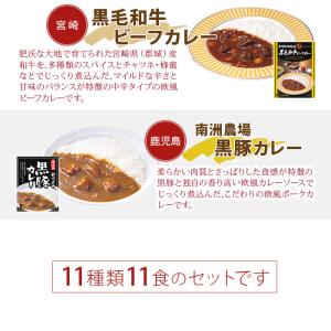 ご当地カレー 詰め合わせ 11種セット レトル...の詳細画像5