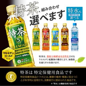 〔500円OFFクーポン配布中〕 伊右衛門 特...の詳細画像3