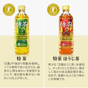 〔500円OFFクーポン配布中〕 伊右衛門 特...の詳細画像4