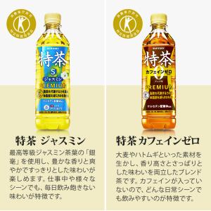 〔500円OFFクーポン配布中〕 伊右衛門 特...の詳細画像5