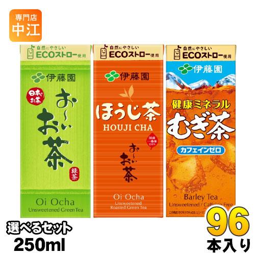 おーいお茶 健康ミネラルむぎ茶 250ml 紙パック 選べる 96本 (24本×4) ほうじ前茶 エ...