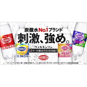 ウィルキンソン タンサン レモン 他 490m...の詳細画像3