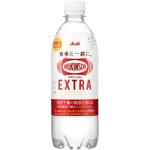 ウィルキンソン タンサン エクストラ 490m...の詳細画像1