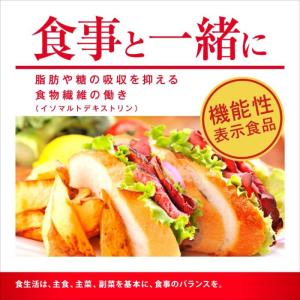 ウィルキンソン タンサン エクストラ 490m...の詳細画像2