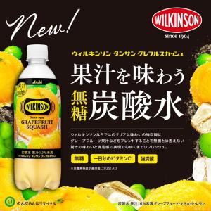 ウィルキンソン タンサン グレフルスカッシュ ...の詳細画像2