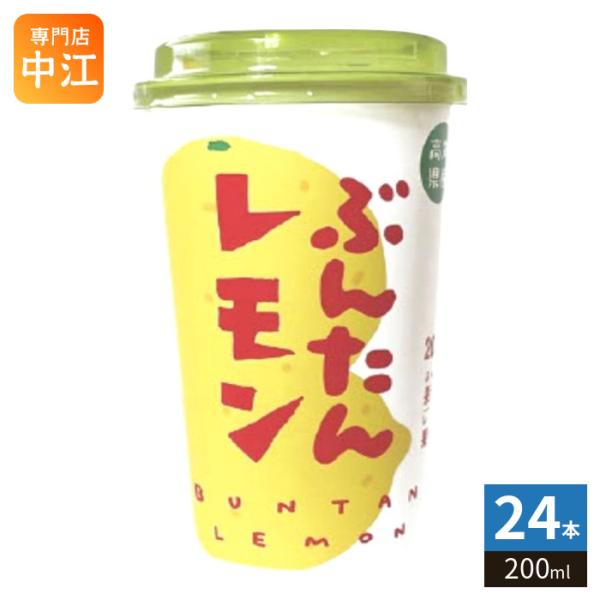 高知アイス ぶんたんレモン 200ml カップ 24本 (12本入×2 まとめ買い) 果汁飲料 文旦...