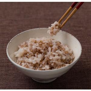 アイズ 国産もち麦ごはん 160g 36個入 ...の詳細画像2