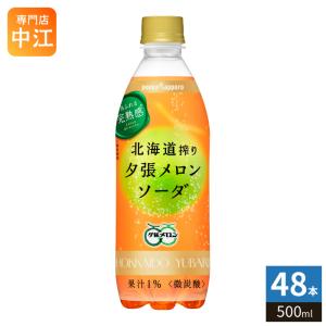 pokka sapporo（ポッカサッポロ） 北海道搾り夕張メロンソーダ PET