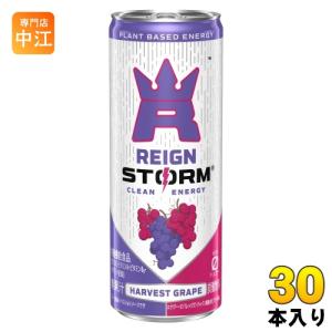 アサヒ レインストーム ハーベストグレープ 250ml 缶 30本入 炭酸飲料 エナジードリンク 栄養機能食品 ゼロシュガー｜専門店中江