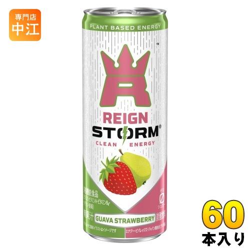 アサヒ レインストーム グァバストロベリー 250ml 缶 60本 (30本入×2 まとめ買い) 炭...
