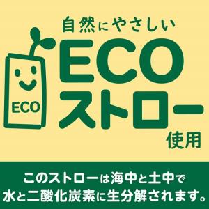 伊藤園 健康ミネラルむぎ茶 250ml 紙パッ...の詳細画像2
