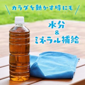 伊藤園 健康ミネラルむぎ茶 ラベルレス 600...の詳細画像2