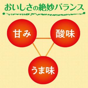 伊藤園 充実野菜 理想のトマト 740g ペッ...の詳細画像3
