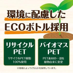 伊藤園 充実野菜 理想のトマト 740g ペッ...の詳細画像4
