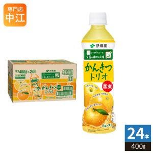 伊藤園（ITO EN） ニッポンエール 国産かんきつトリオ 400g ペット