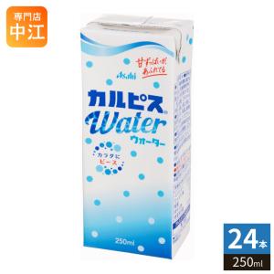 エルビー りんご&カルピス 250ml 紙パック 48本 (24本入×2 まとめ買い