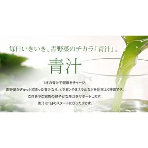 サンスター 健康道場 おいしい青汁 900g ...の詳細画像2