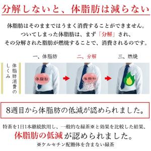 サントリー 緑茶 伊右衛門 特茶 s 500m...の詳細画像3