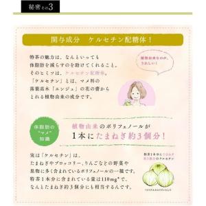 〔500円OFFクーポン配布中!〕 サントリー...の詳細画像3
