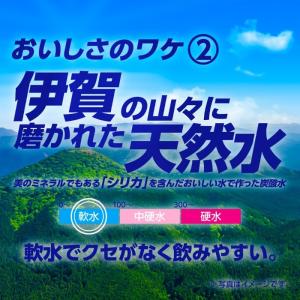 サンガリア 伊賀の天然水 強炭酸水 ラベルレス...の詳細画像4