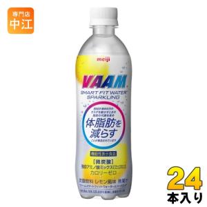 明治 VAAM ヴァーム スマートフィットウォーター スパークリング 500ml ペットボトル 24本入 機能性表示食品 微炭酸 スポーツドリンク カロリーゼロ｜nakae-web