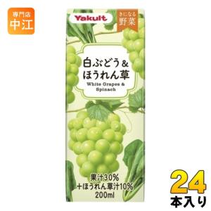 充実野菜 伊藤園 緑黄色野菜ミックス 200ml 紙パック 96本 (24本入×4