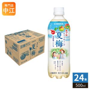 ソルマック 大鵬薬品 ソルマック5 50ml 瓶 96本 (48本入×2 まとめ買い