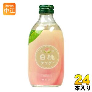 友桝飲料 マスクメロンサイダー 300ml 瓶 24本入 炭酸ジュース メロン